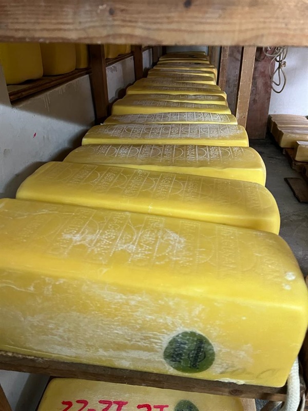 Produzioni Casearie Tradizionali Siciliane, convegno a Ragusa